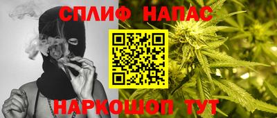 стафф Краснознаменск