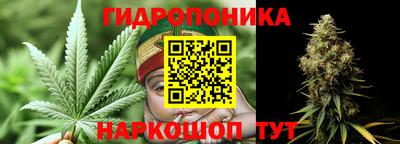 амф Коммунар